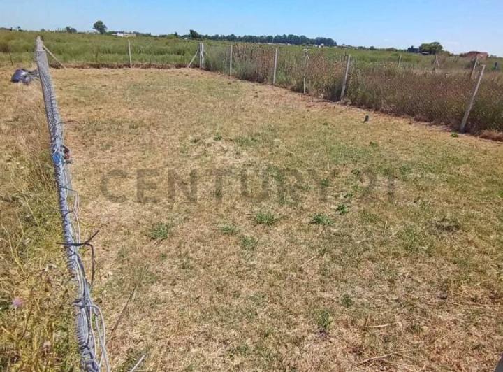 Terreno · 265m²