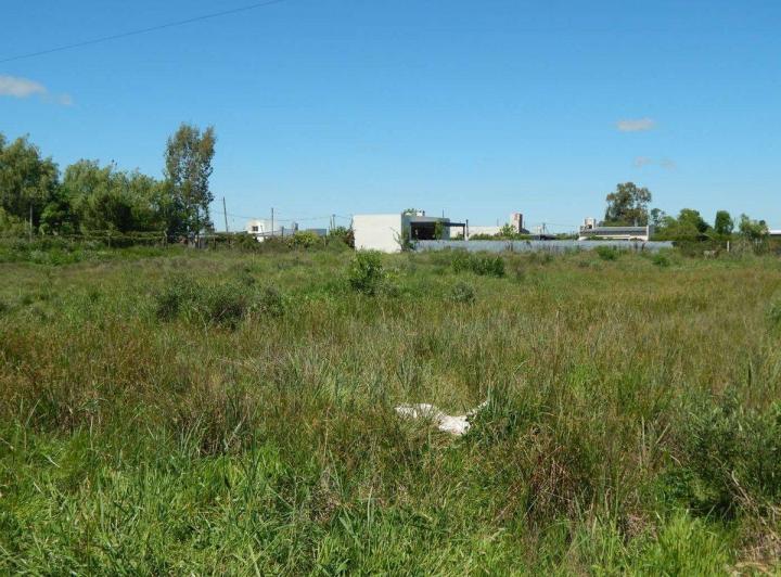 Terreno · 780m²
