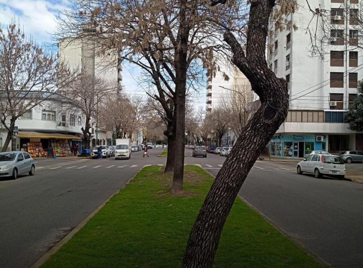 Terreno · 200m²
