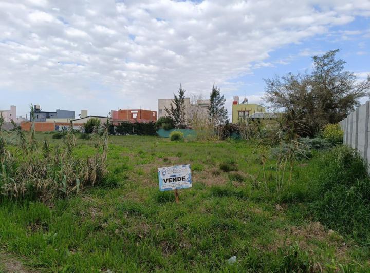 Terreno · 312m²