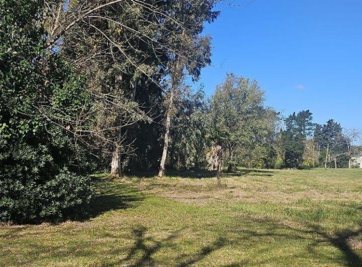 Terreno · 1300m²