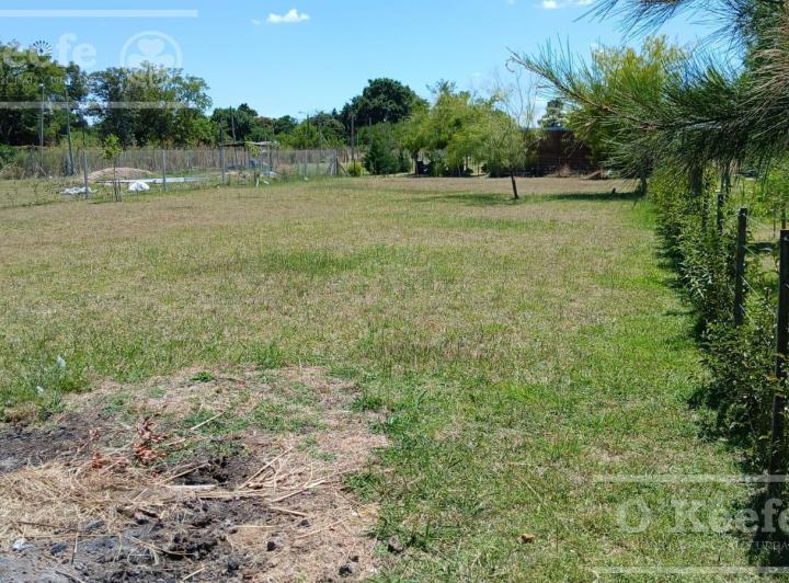 Terreno · 1000m²