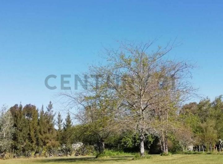 Terreno · 2000m²