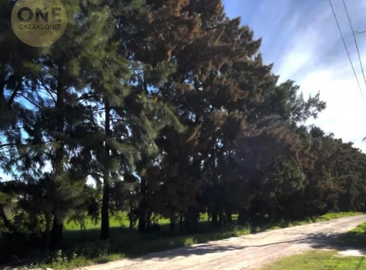 Terreno · 271m²