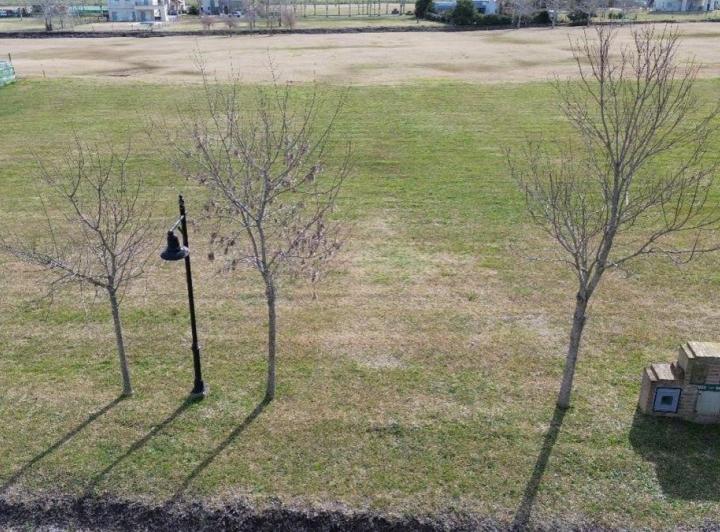 Terreno · 1032m²