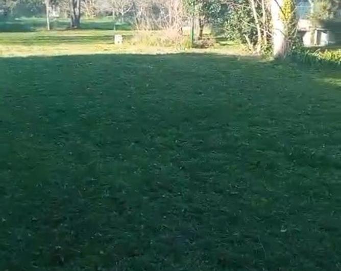 Terreno · 1000m²