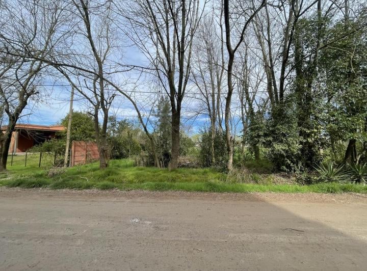 Terreno · 1501m²