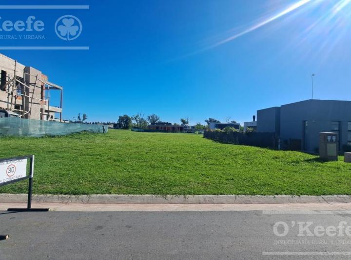 Terreno · 602m²