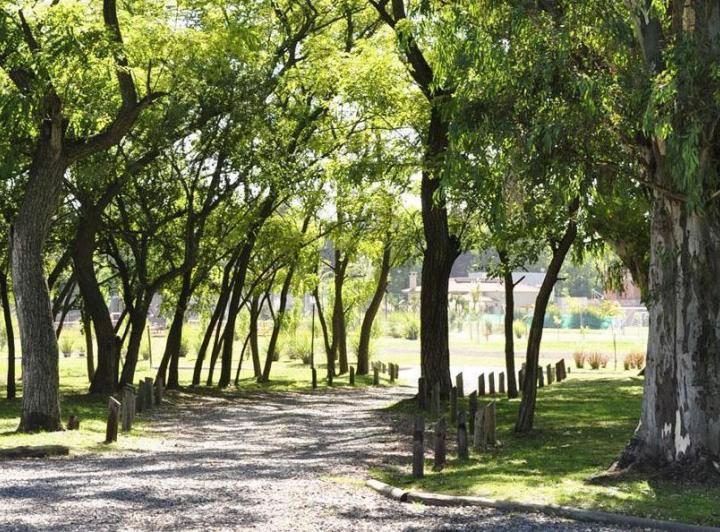 Terreno · 700m²