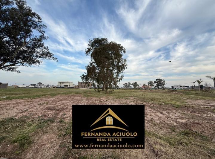 Terreno · 715m²