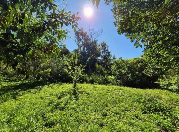 Terreno · 10000m²