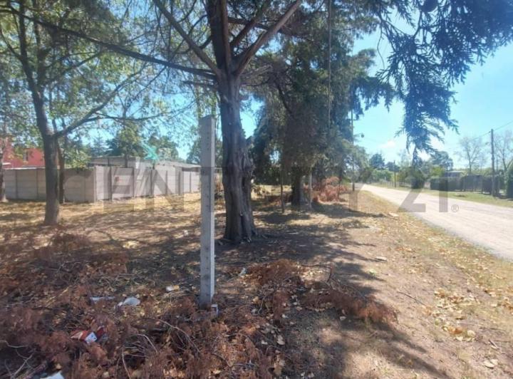 Terreno · 445m²