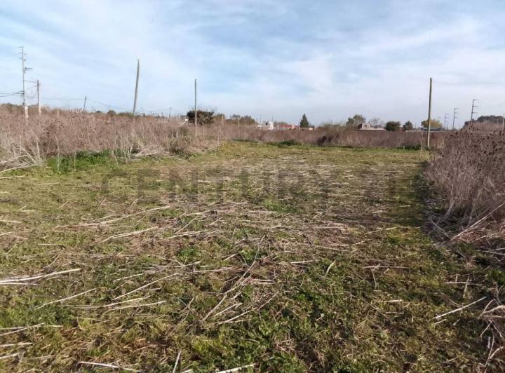 Terreno · 230m²