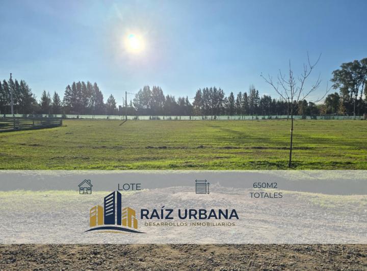 Terreno · 600m²