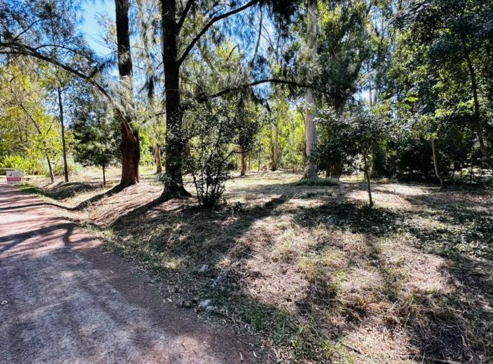 Terreno · 1600m²