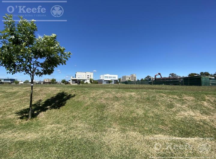 Terreno · 1037m²
