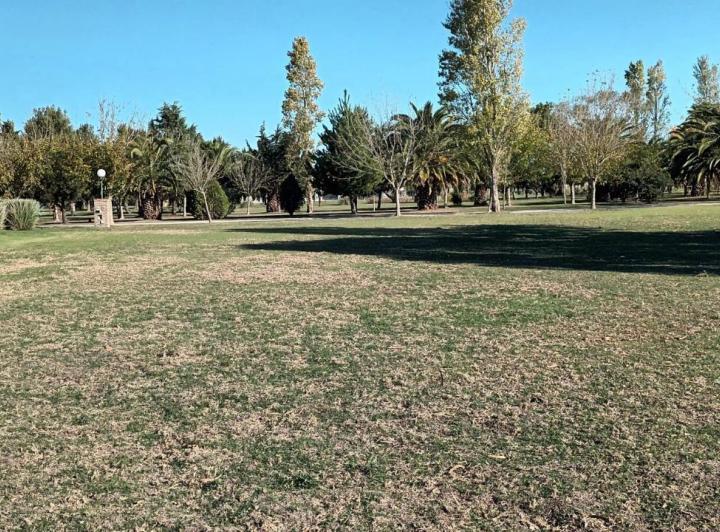 Terreno · 1000m²