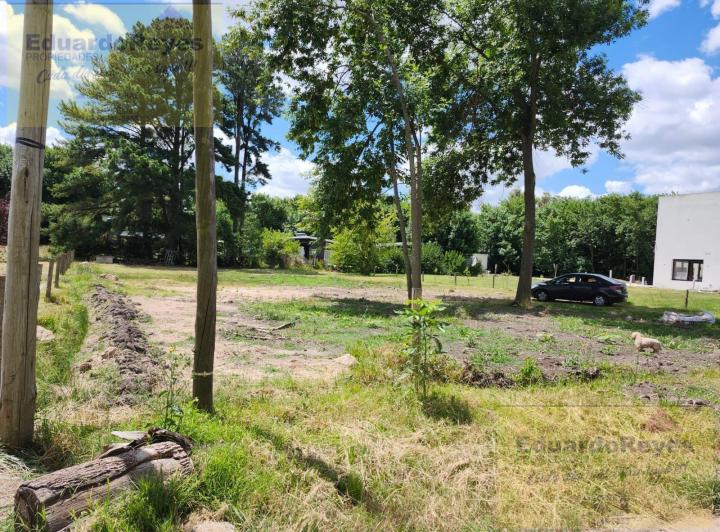 Terreno · 1203m²