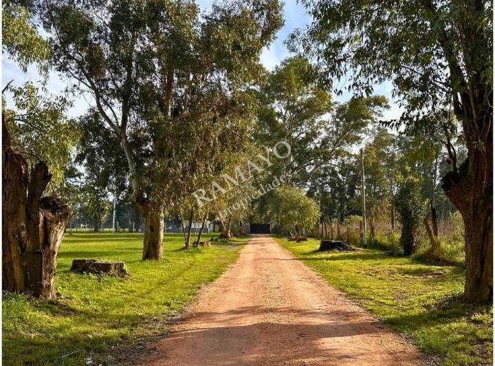 Terreno · 324m²