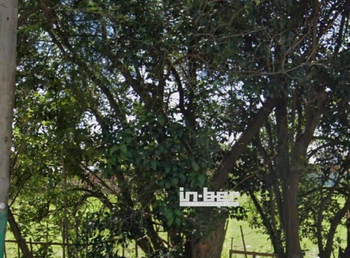 Terreno · 245m²