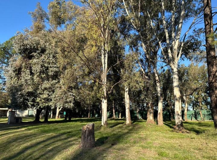 Terreno · 706m²