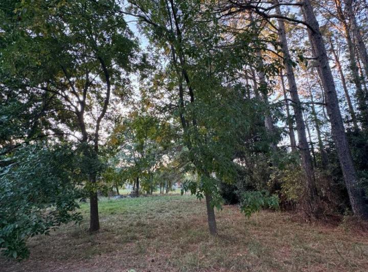 Terreno · 2437m²