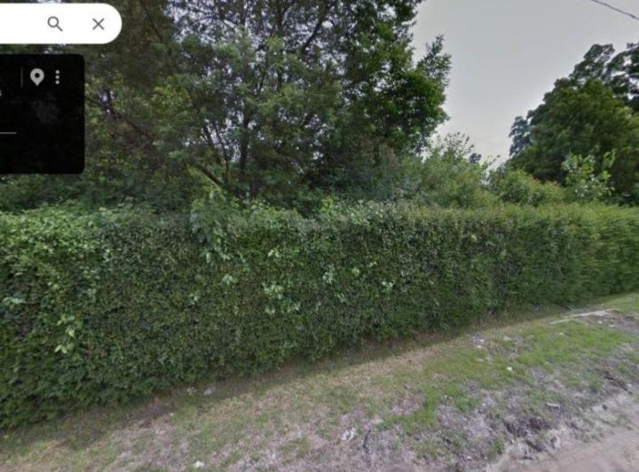 Terreno · 335m²