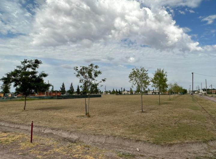 Terreno · 1274m²