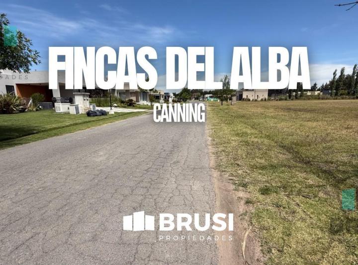 Terreno · 3678m²