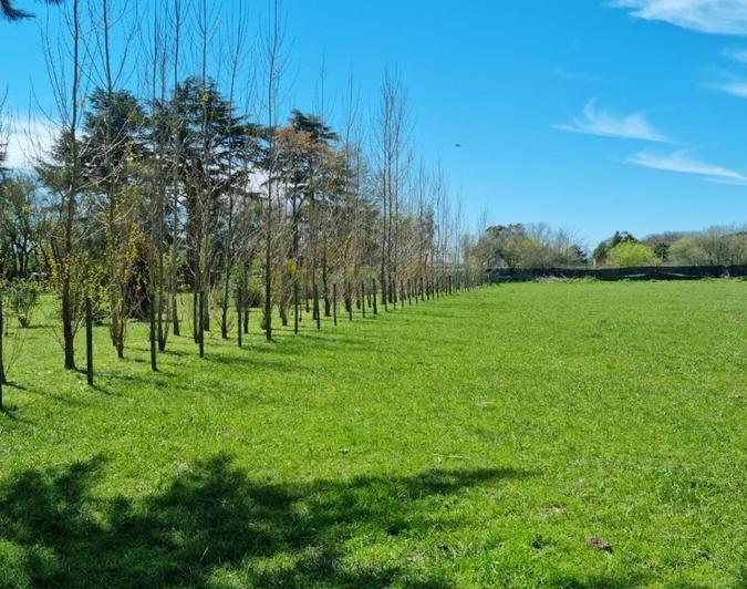 Terreno · 4185m²