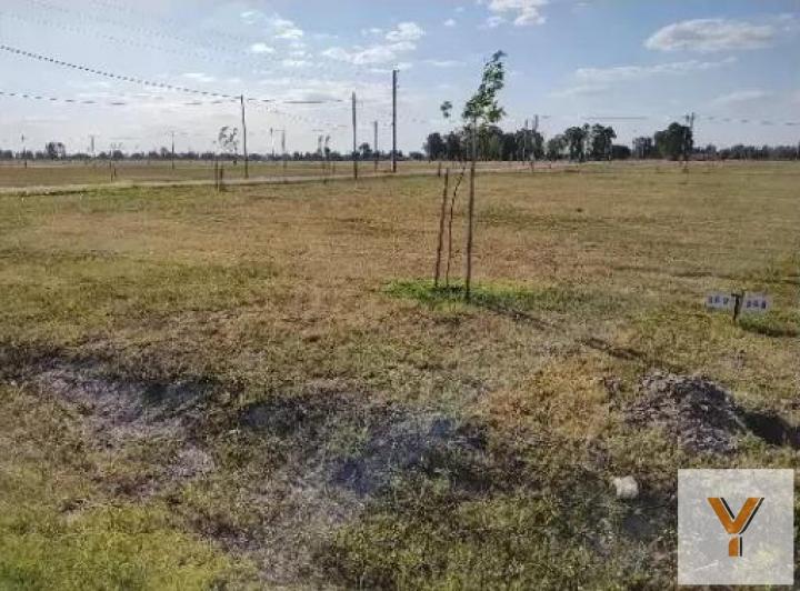 Terreno · 650m²