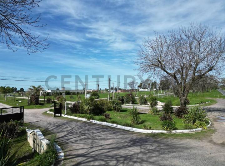 Terreno · 1000m²