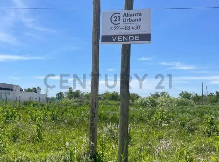 Terreno · 300m²