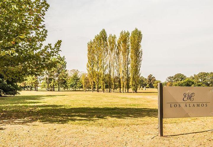 Terreno · 3613m²