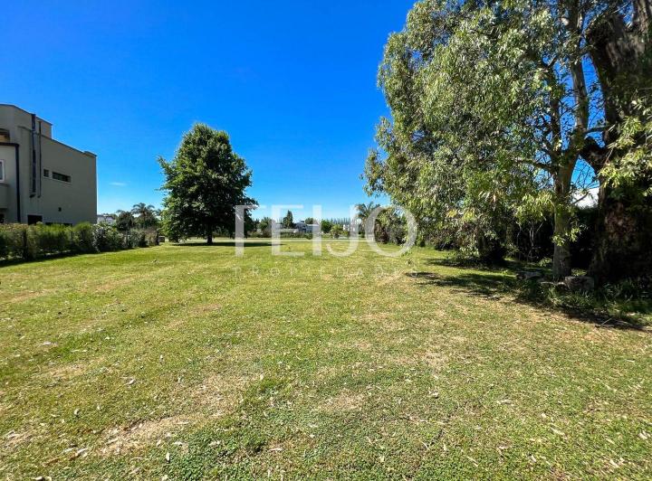 Terreno · 1033m²
