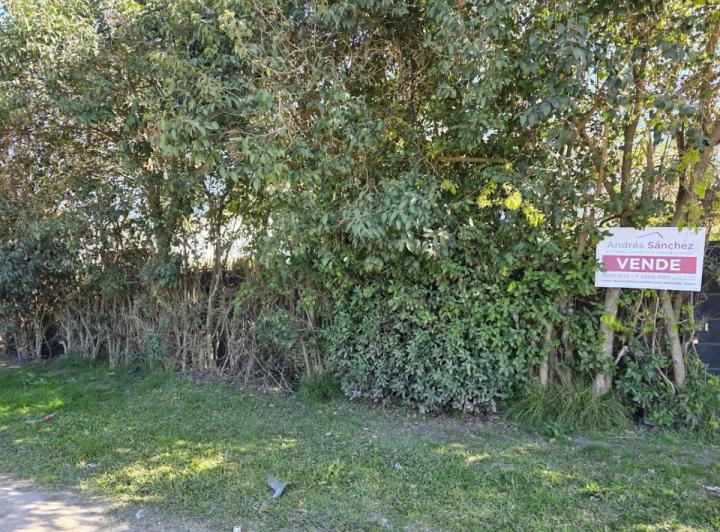 Terreno · 371m²
