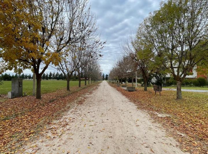 Terreno · 2450m²