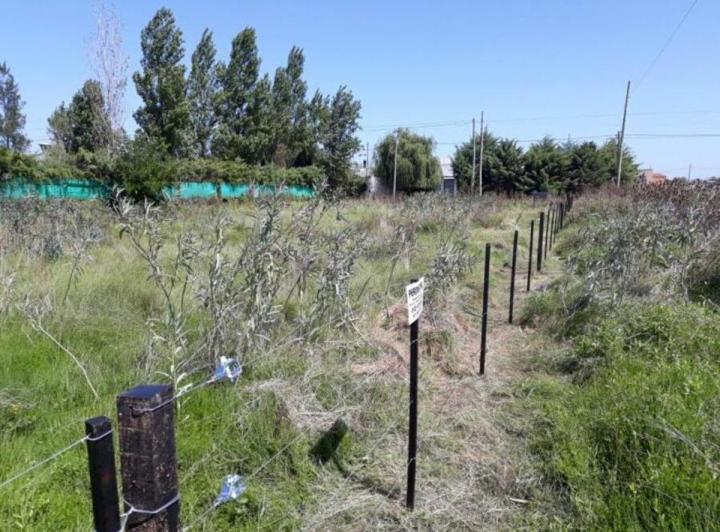 Terreno · 1250m²