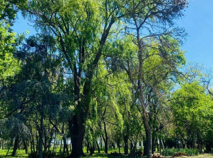 Terreno · 800m²