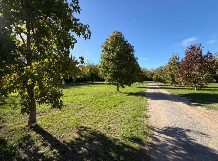 Terreno · 1326m²
