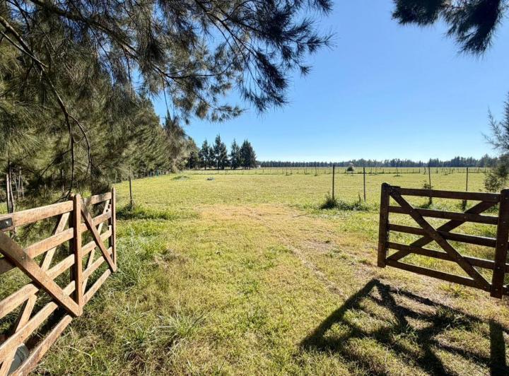 Terreno · 7204m²