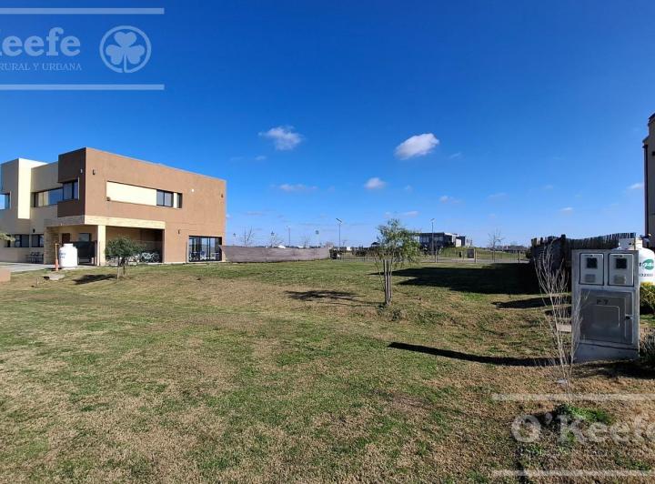 Terreno · 601m²