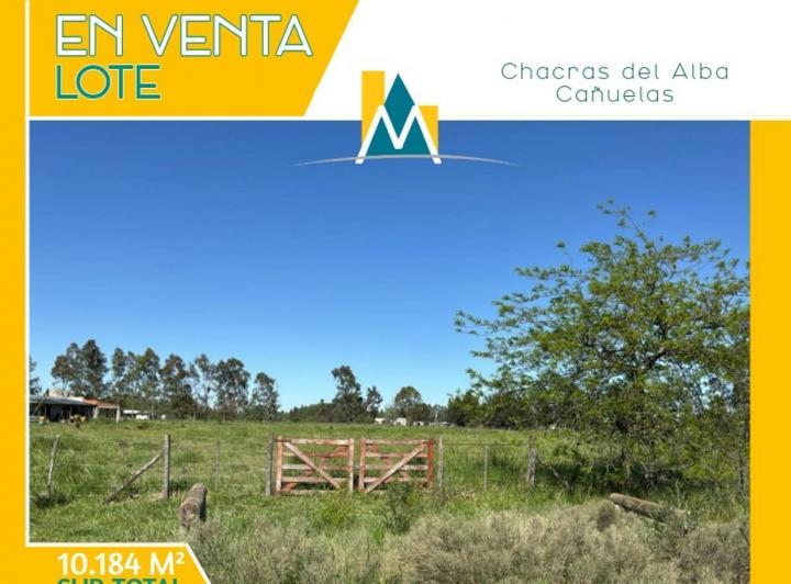 Terreno · 10184m²