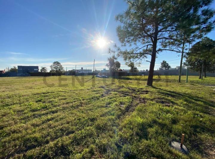 Terreno · 345m²