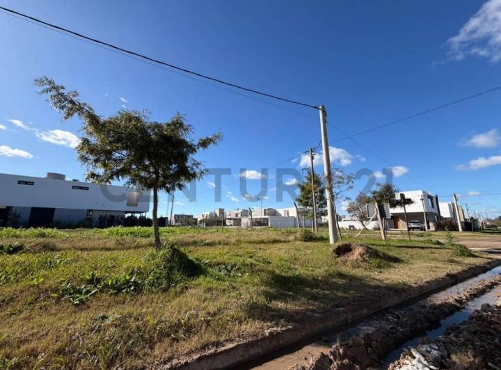 Terreno · 253m²