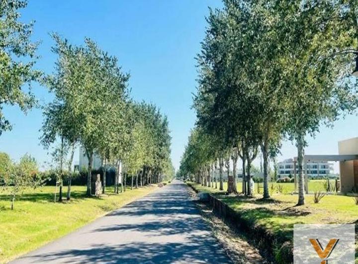 Terreno · 1000m²