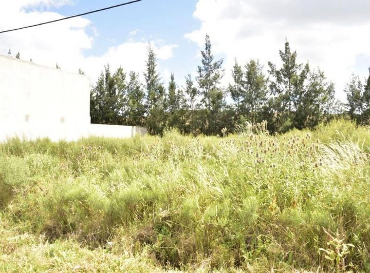 Terreno · 300m²