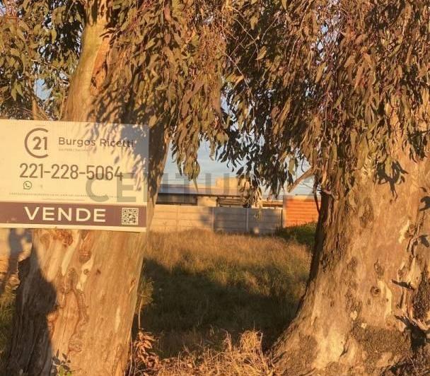 Terreno · 300m²