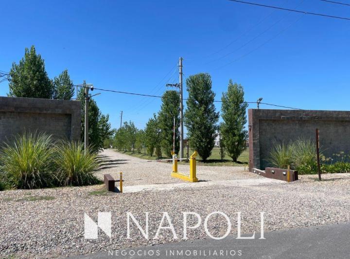 Terreno · 250m²