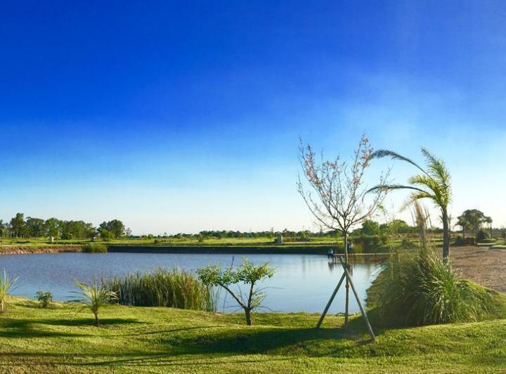 Terreno · 1000m²